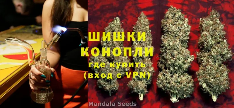 omg ТОР  где купить наркоту  Алексин  Бошки Шишки LSD WEED 